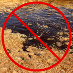 SEPTIC TANK TREATMENT 1 YEAR SUPPLY VACPLUS / FULL BOX - 4